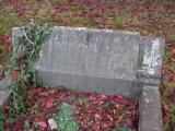 image of grave number 53825